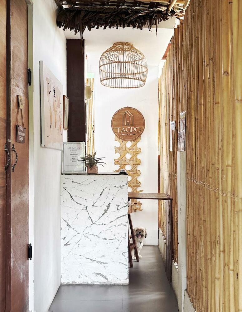 Tagpo Capsule Hostel, Coron