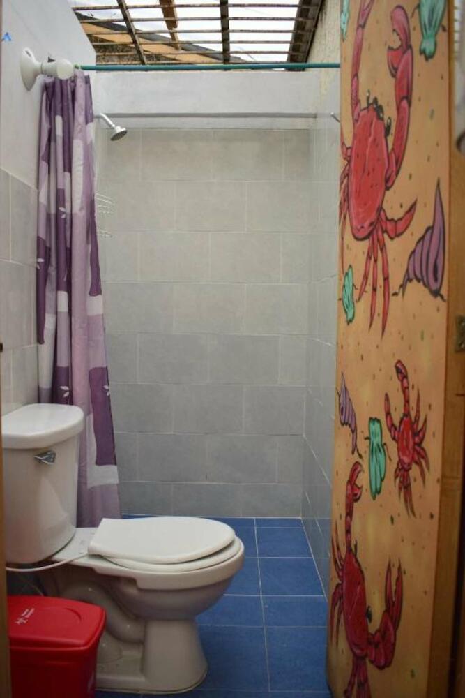 Almanik Viajero Ii, Medellín