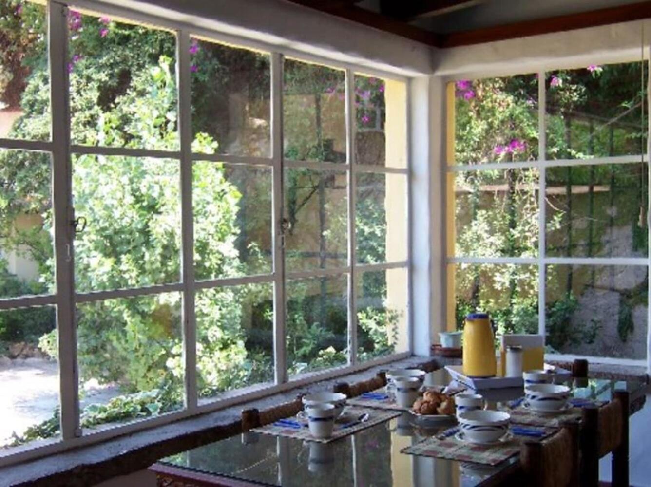 Alamo Hostel & Suites