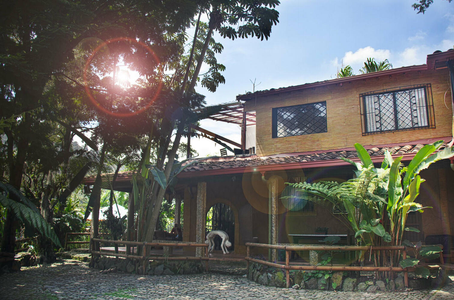 Secret Buddha Hostel, Medellin