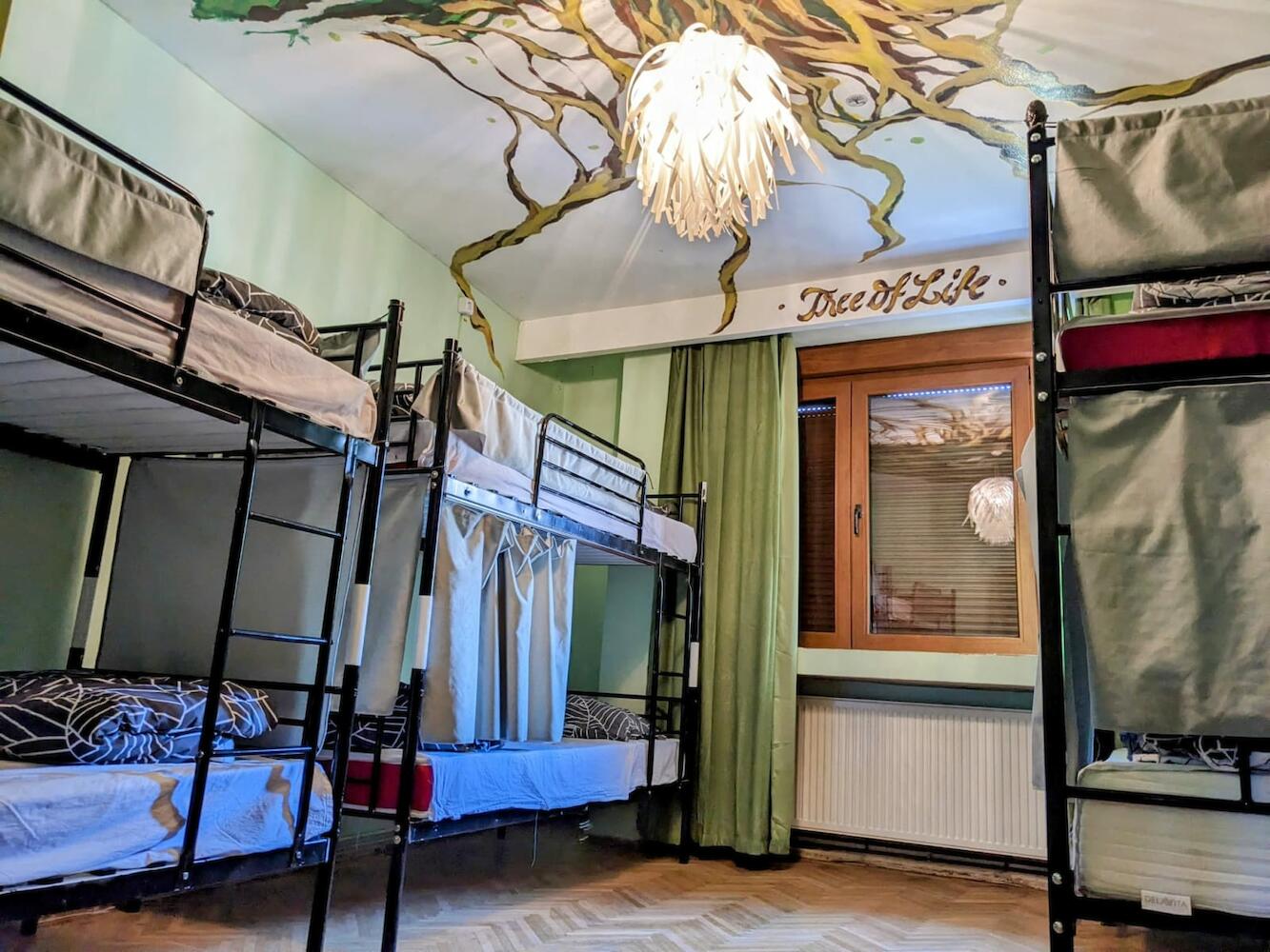Re-Born Hostel, Timisoara