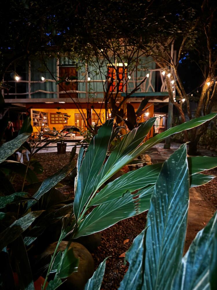 Madre Selva Hostel, Puerto Viejo de Talamanca