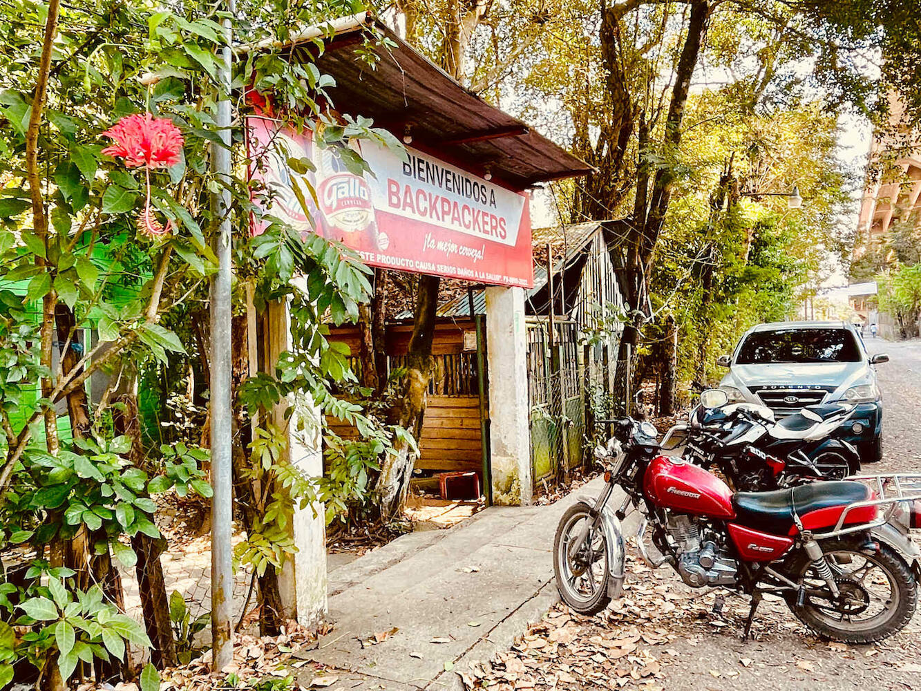 Hotel Backpackers
