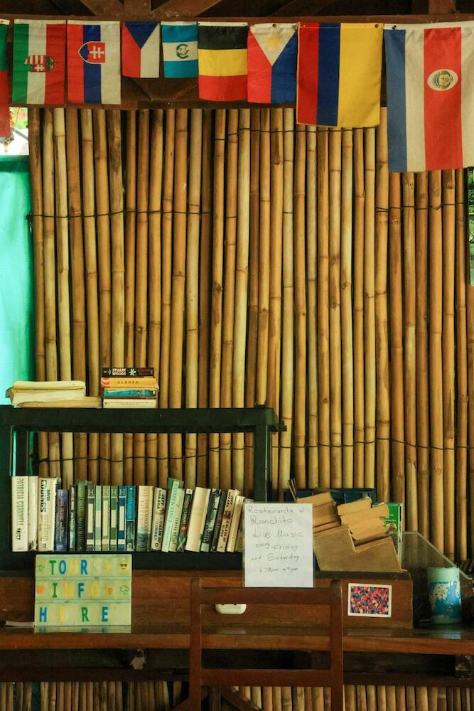 Hostel Plinio