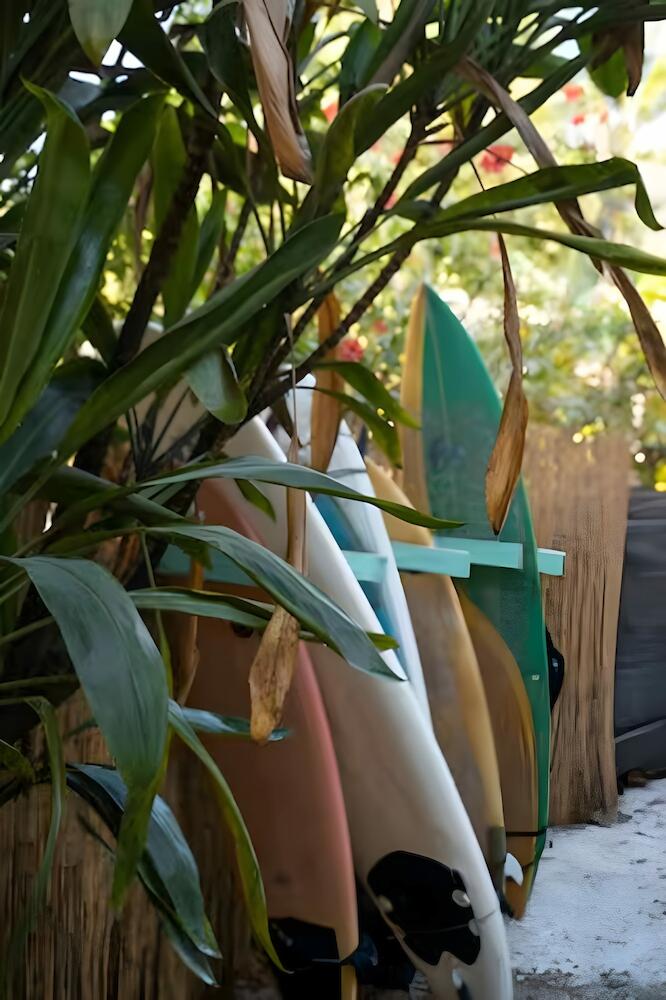 Salty's Enthusiasts, Santa Teresa