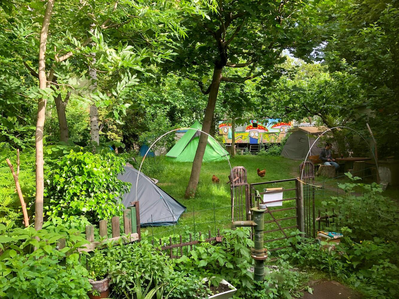 Sandino Summer Camp, Berlin