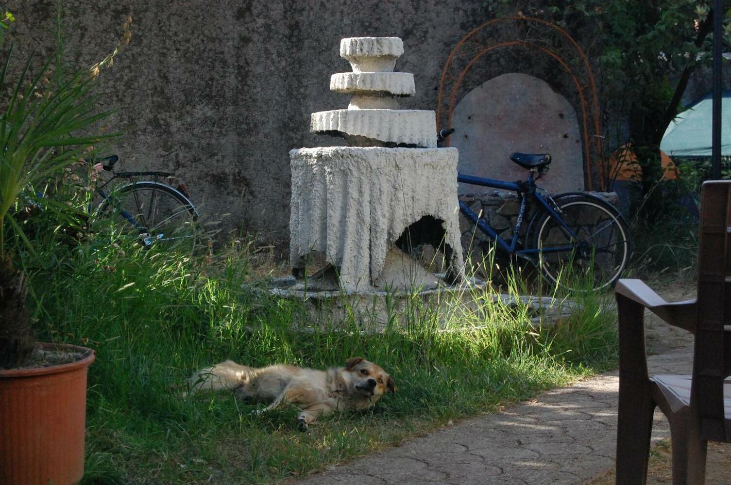 Bliss Inn Hostel & Tours, Shkoder