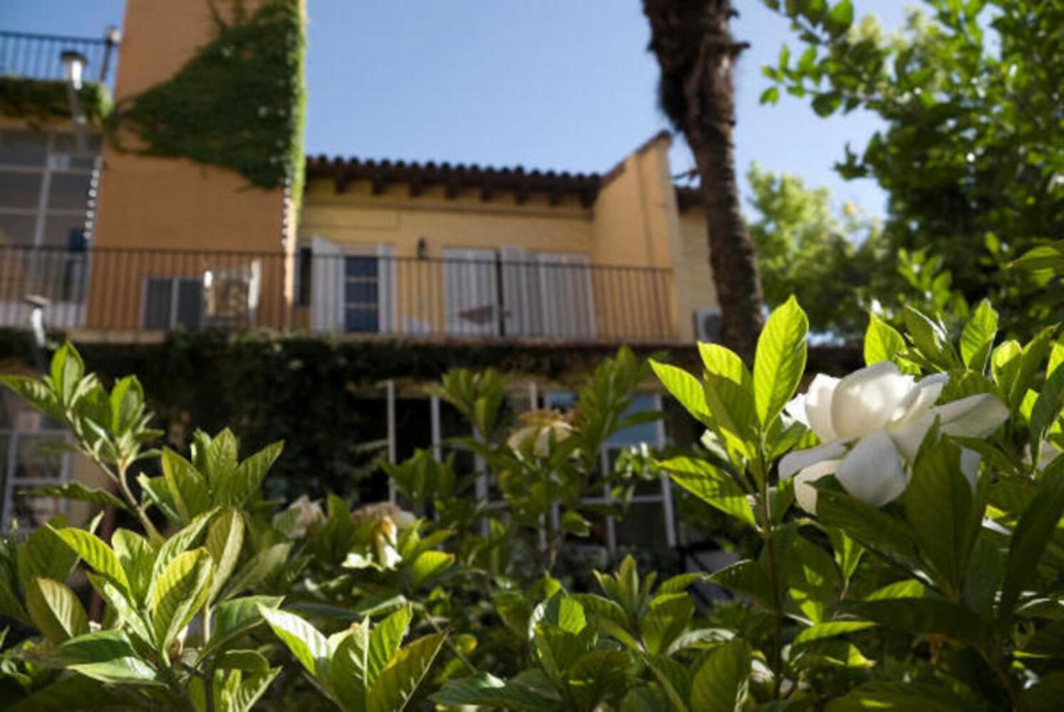 Alamo Hostel & Suites