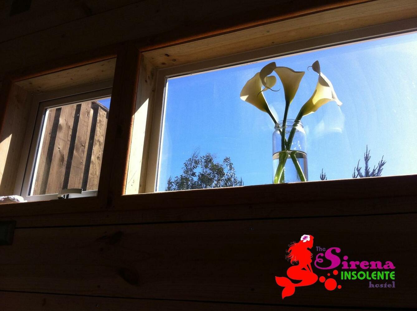 The Sirena Insolente Hostel