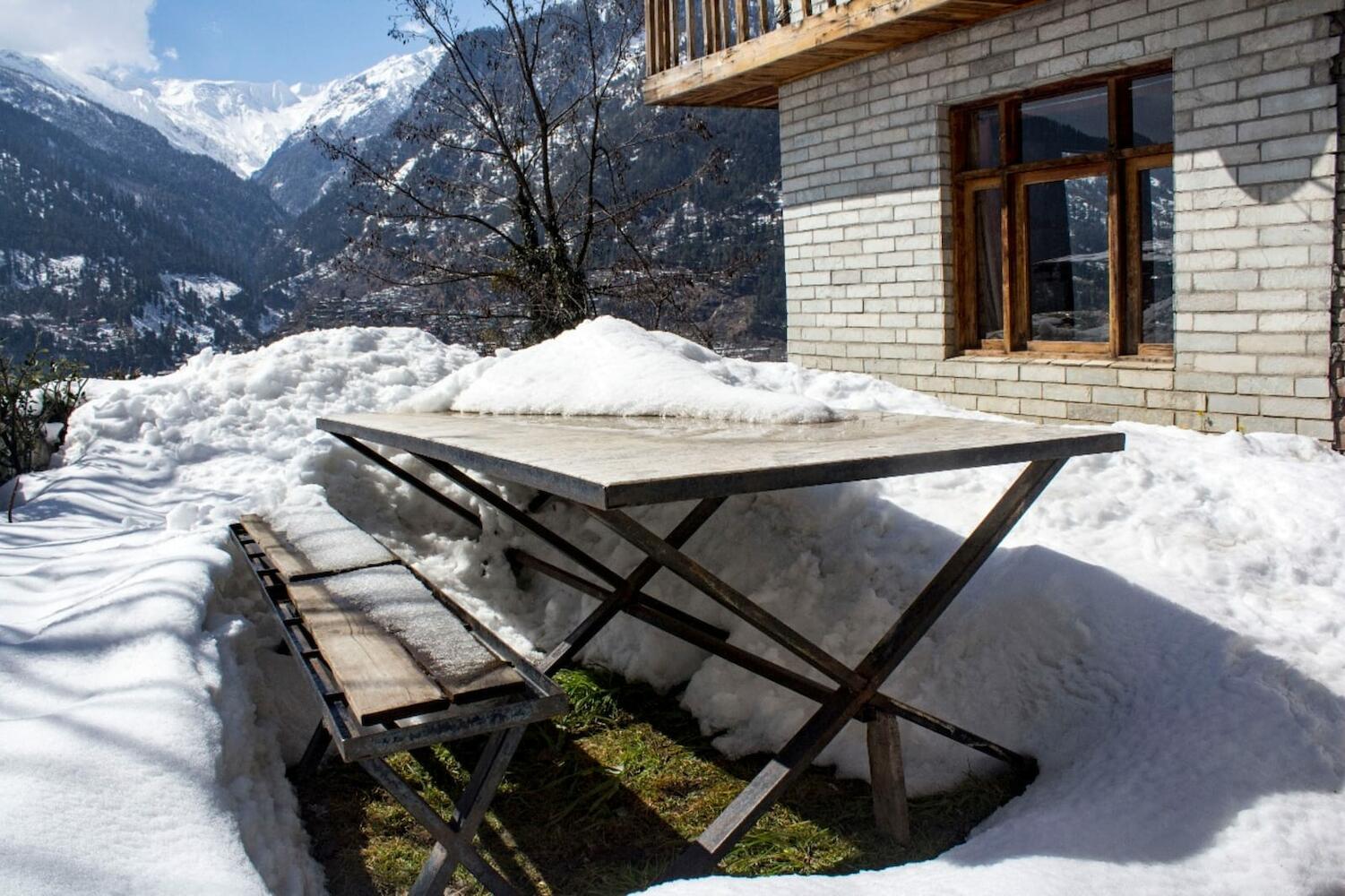 TreeNido, Manali