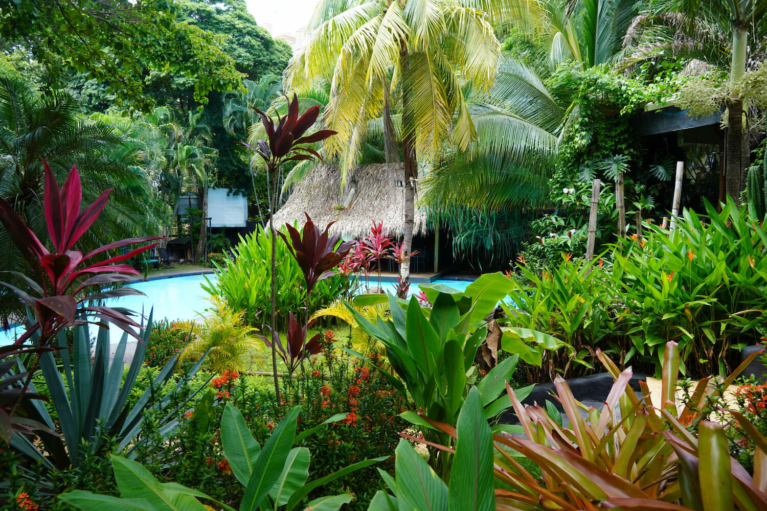 Bonga House