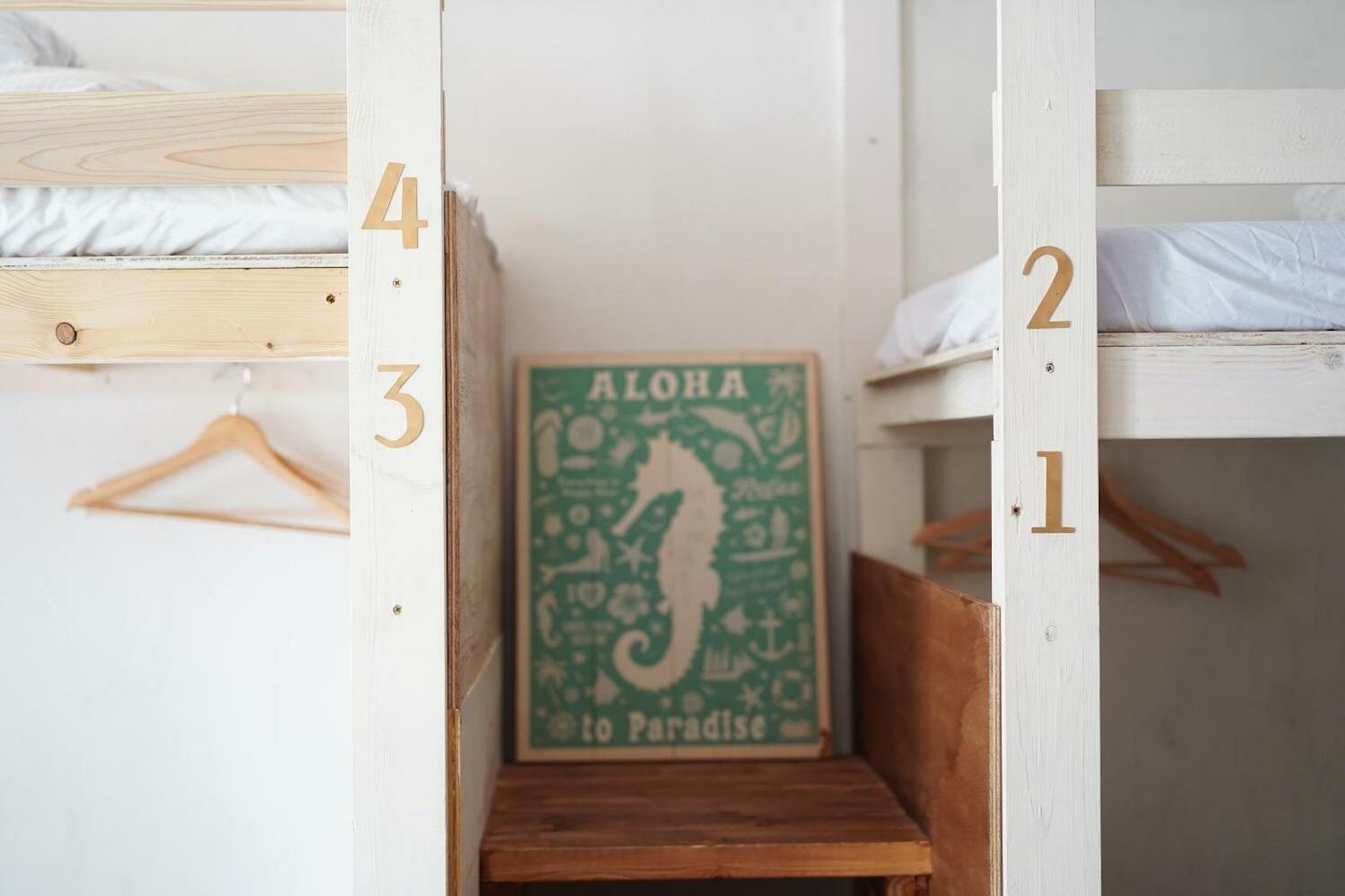 Hostel Ini kobe & Brun donut cafe