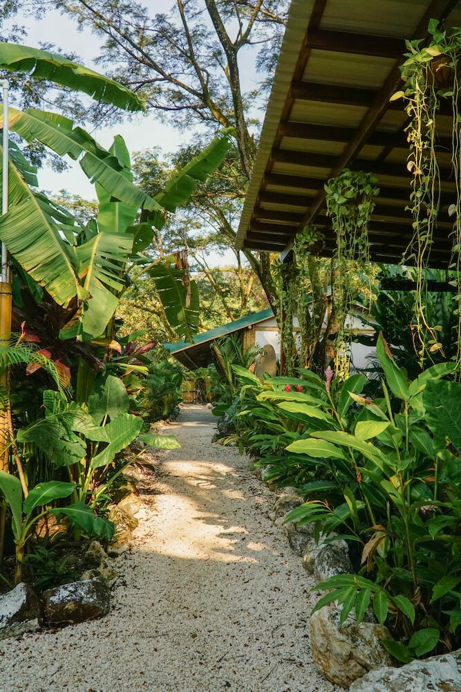 Dream Surf House Santa Teresa (playa Hermosa)
