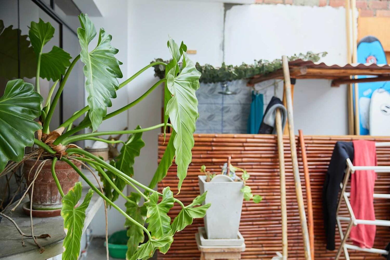 Bravo Hostels: Surf House, Lima