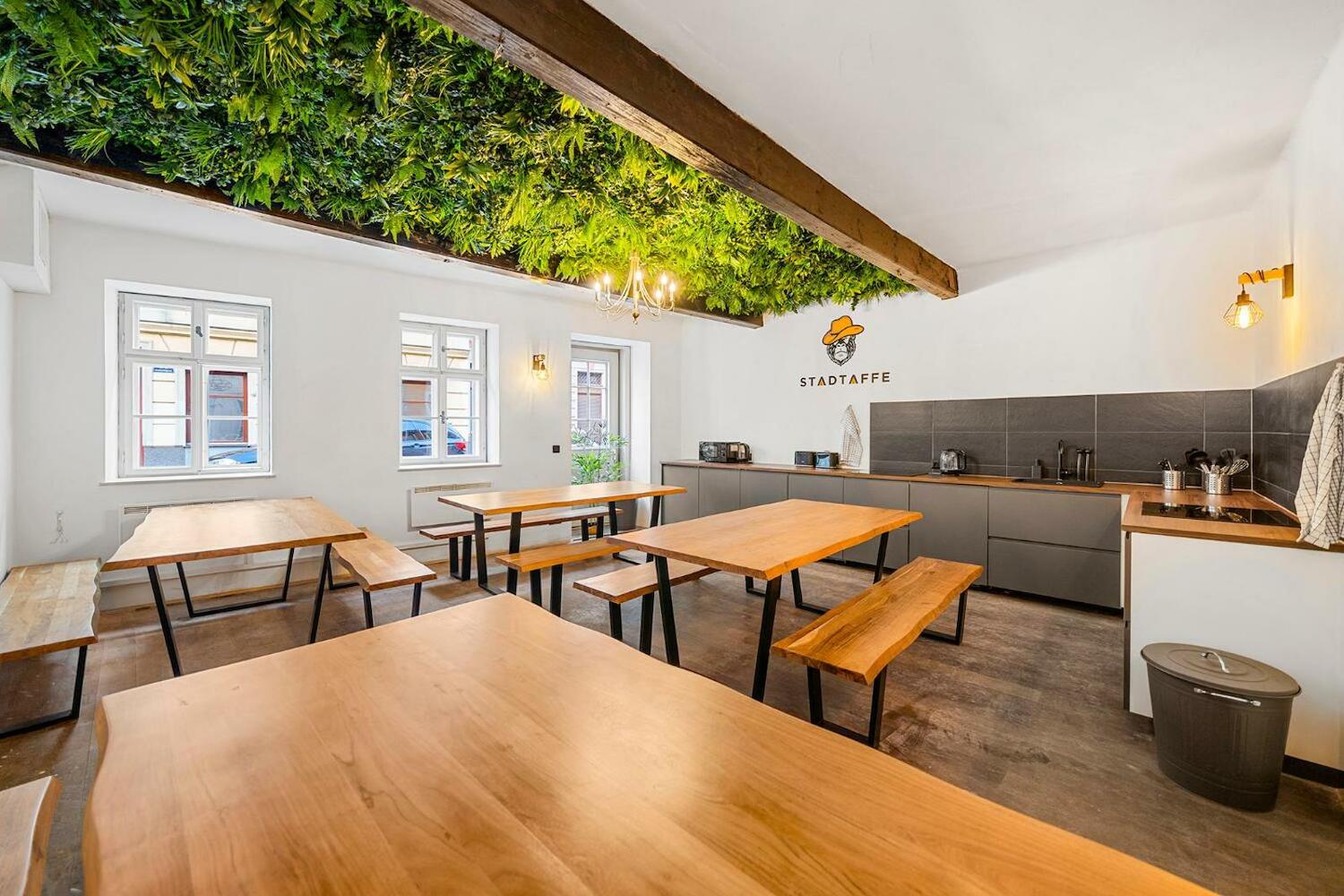 Stadtaffe - Chic Hostel Vie