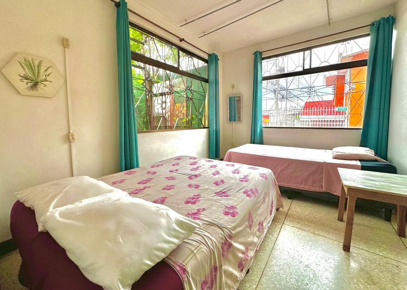 Stray Cat Hostel