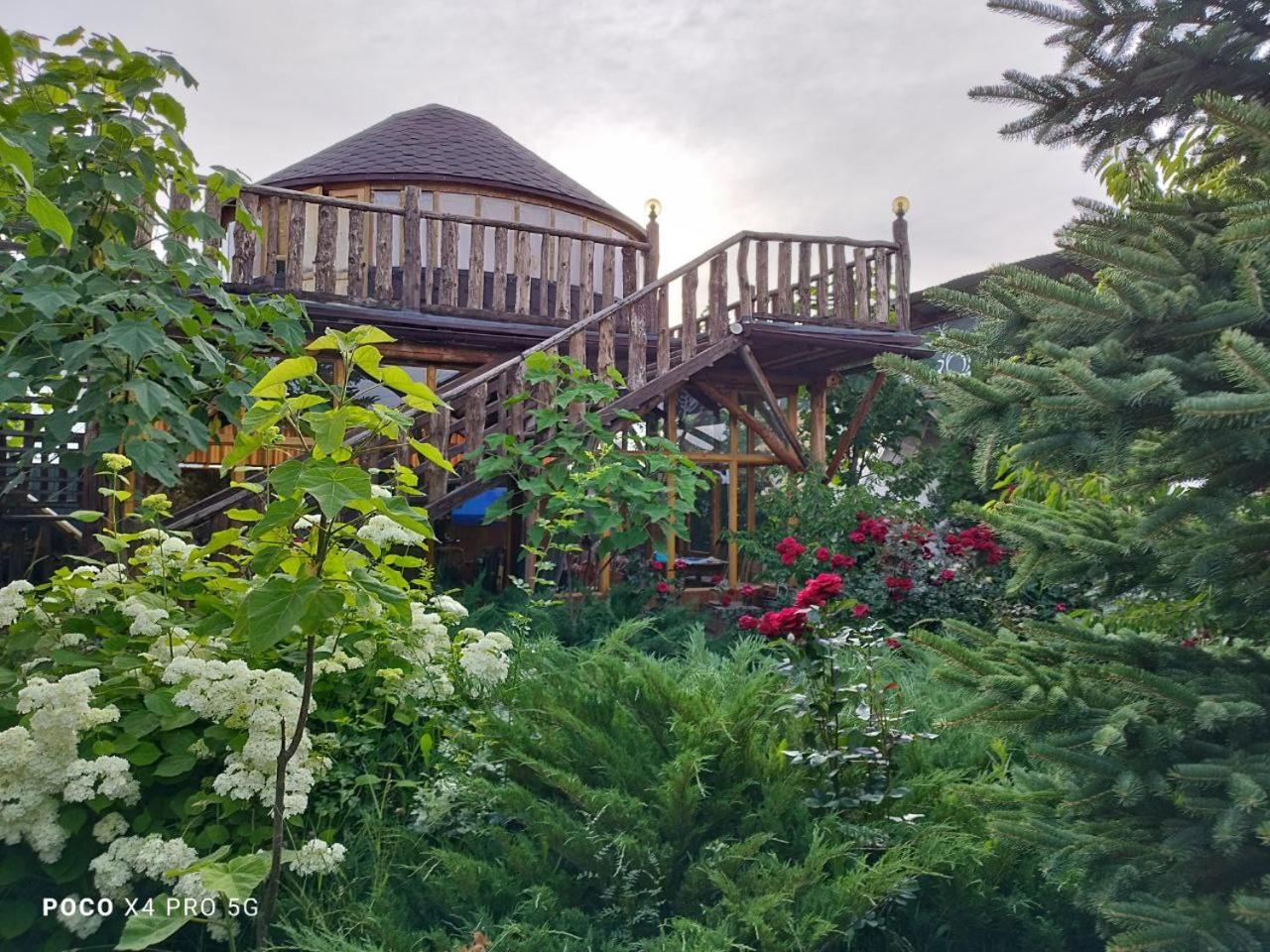Happy Nomads Yurt Camp & Hostel