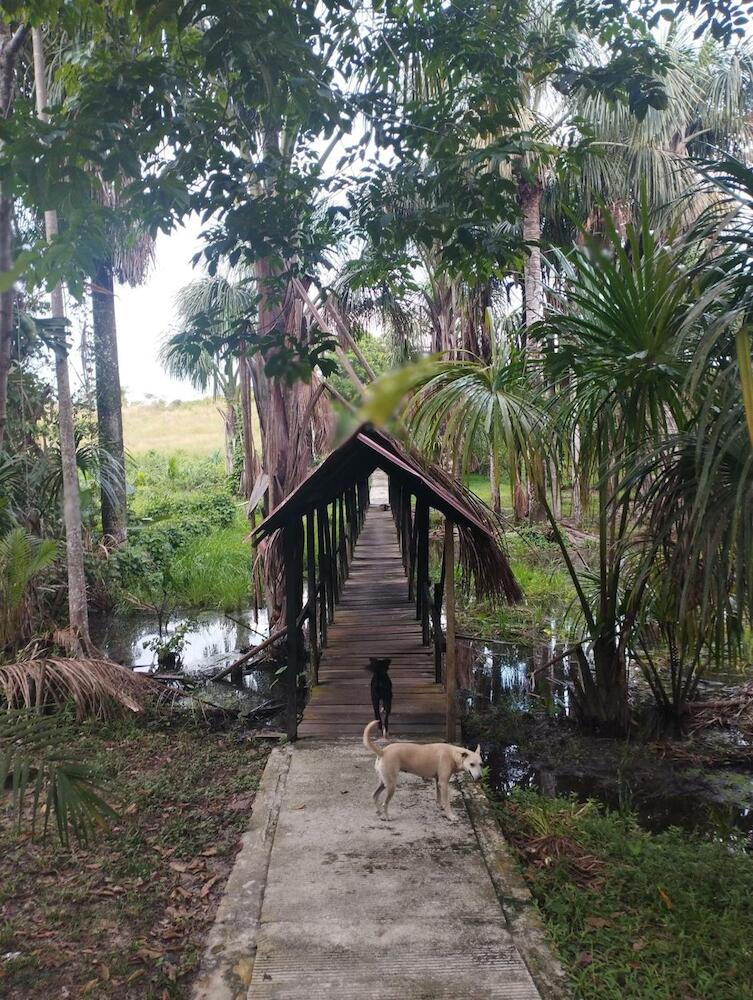 Amazon Lodge Varillal