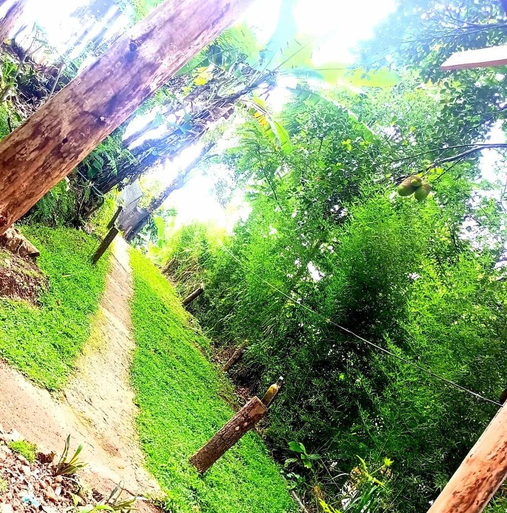 Ella Foret hostel, Ella
