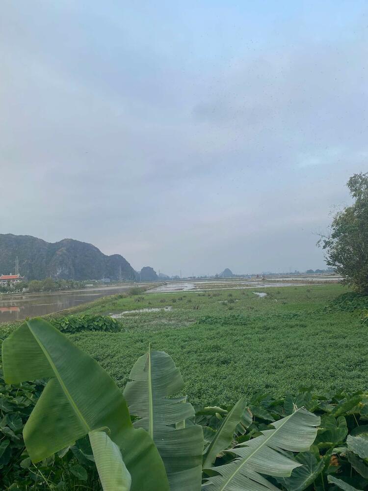 Tam Coc Your Home Hostel, Ninh Binh