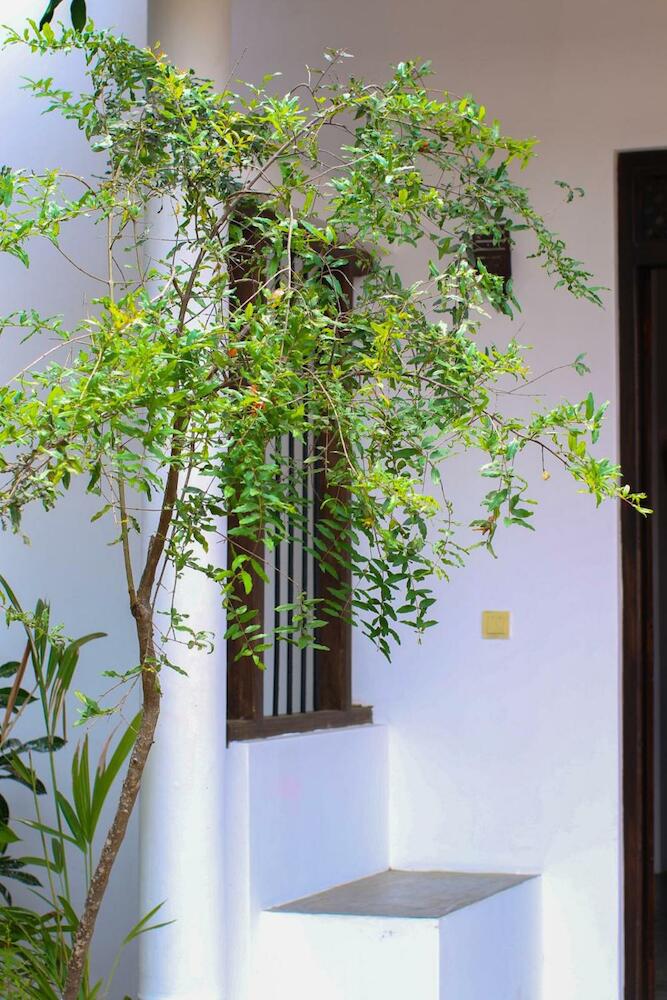 Arugam Summer Resort Hotel & Hostel, Arugam Bay