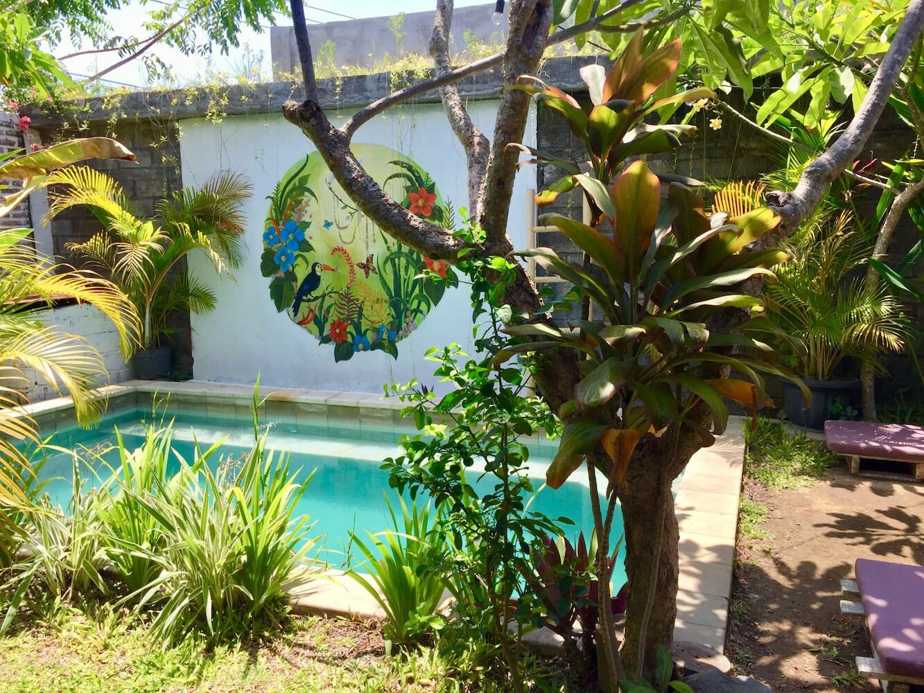 The Jungle House