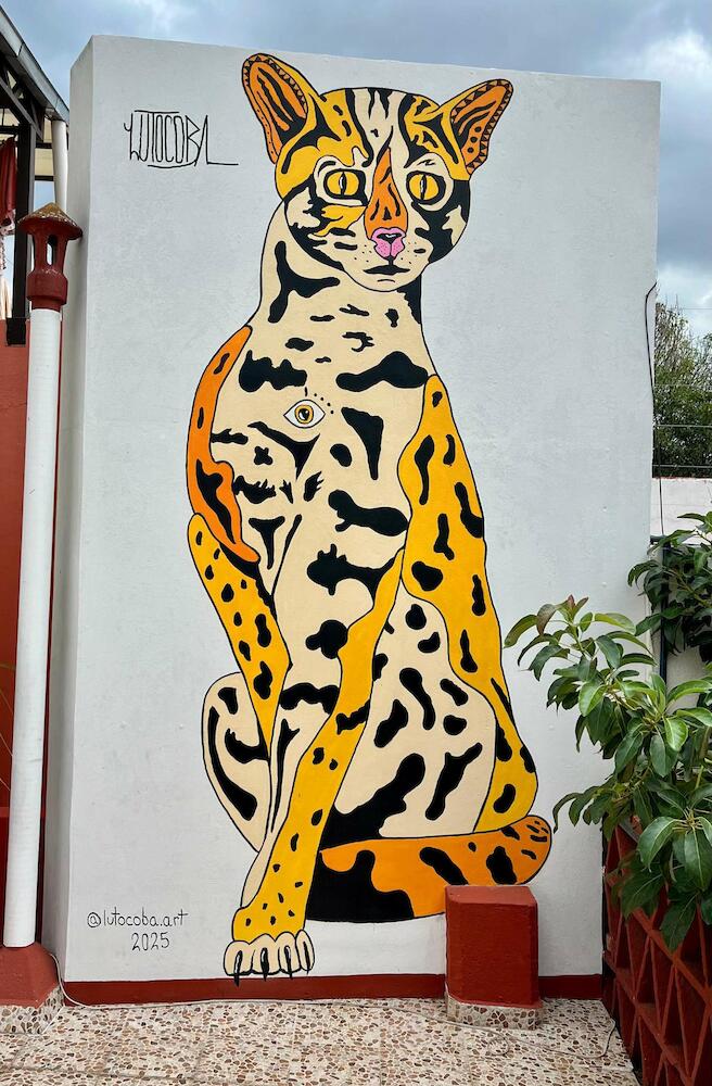 El Cielo Hostel, Oaxaca City