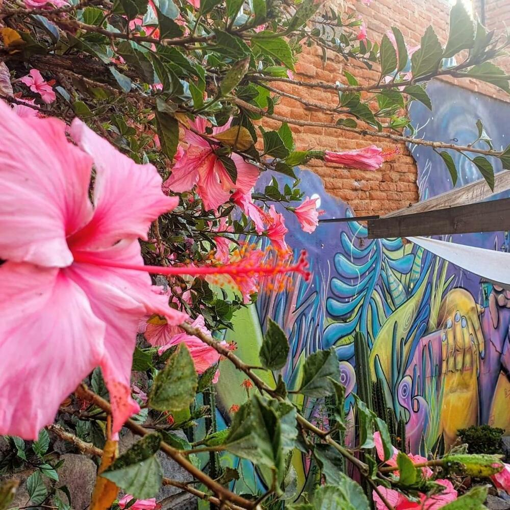 La Casa Piola, Valparaíso