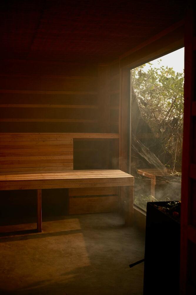 Kactus - The Hidden Treehouse