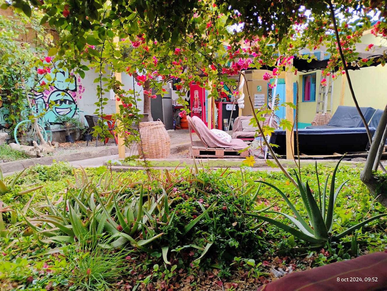 Hostel La Posada De Gallo, Arica