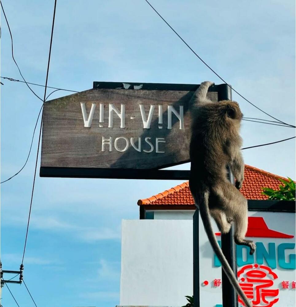 Vin Vin House