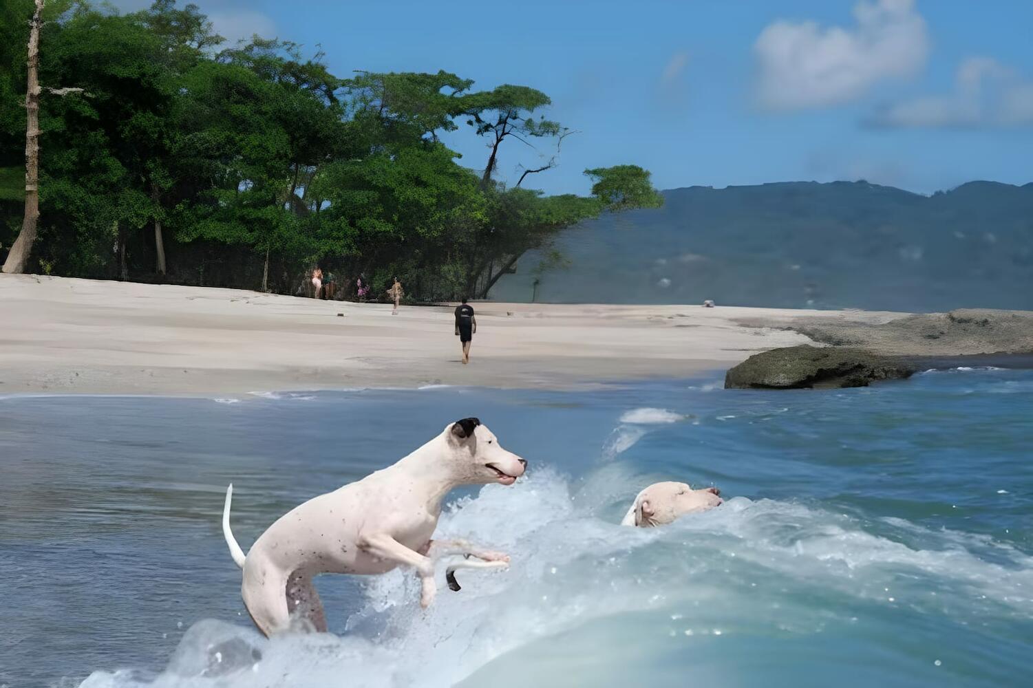 Salty's Enthusiasts, Santa Teresa