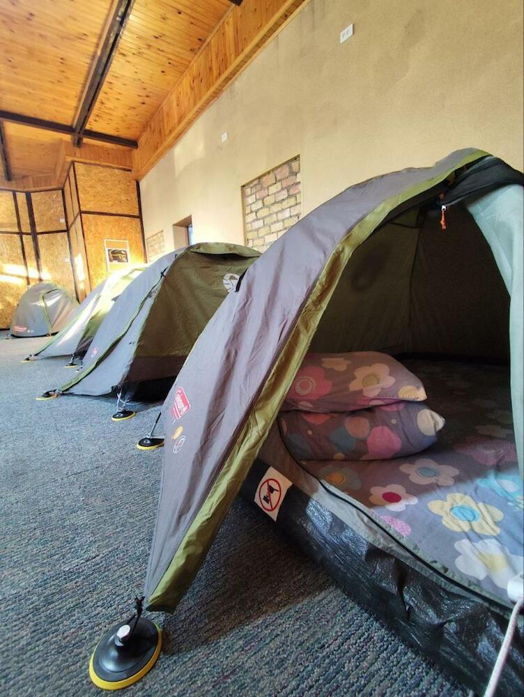 Urban Monkey Tent hostel & bar
