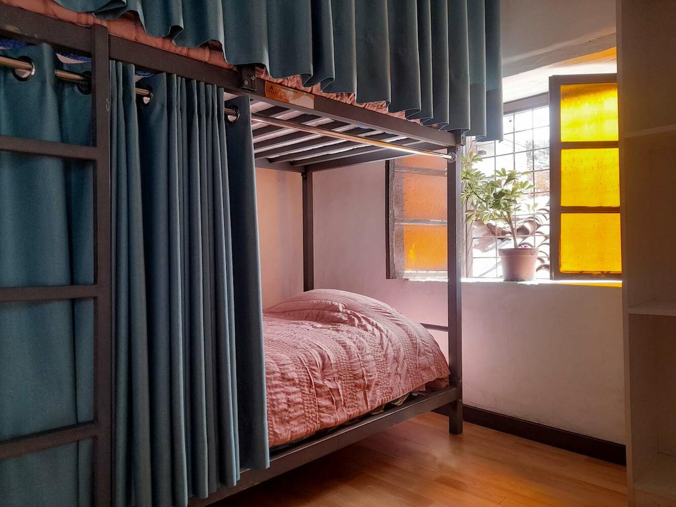 Terra House Hostel
