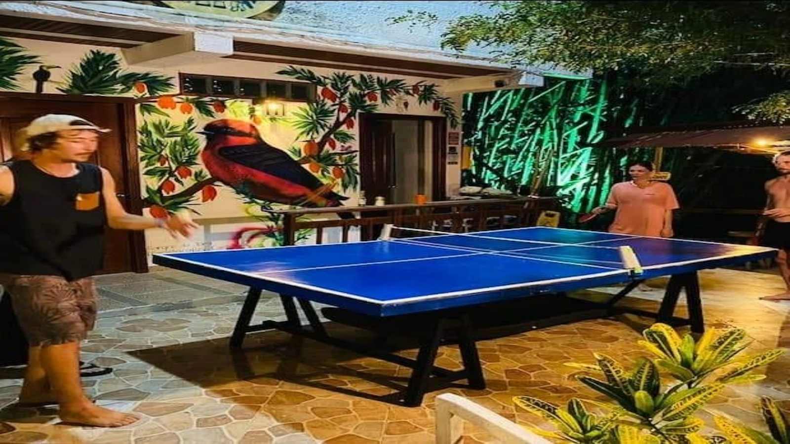 Hostal Eco Point
