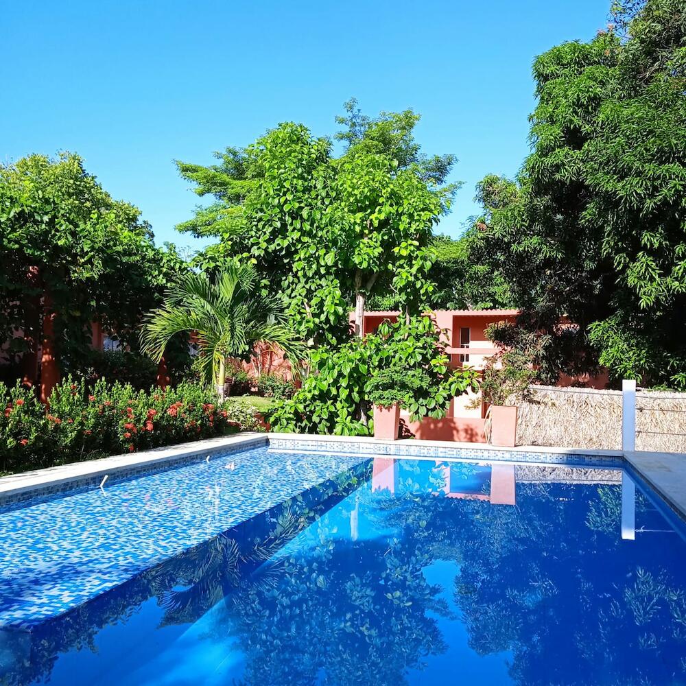 Color Hostel, Palomino