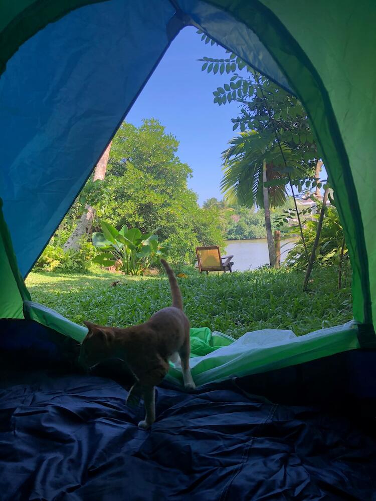 Hostel Aurora, Weligama