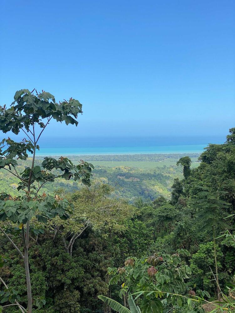 Casinha Da Floresta