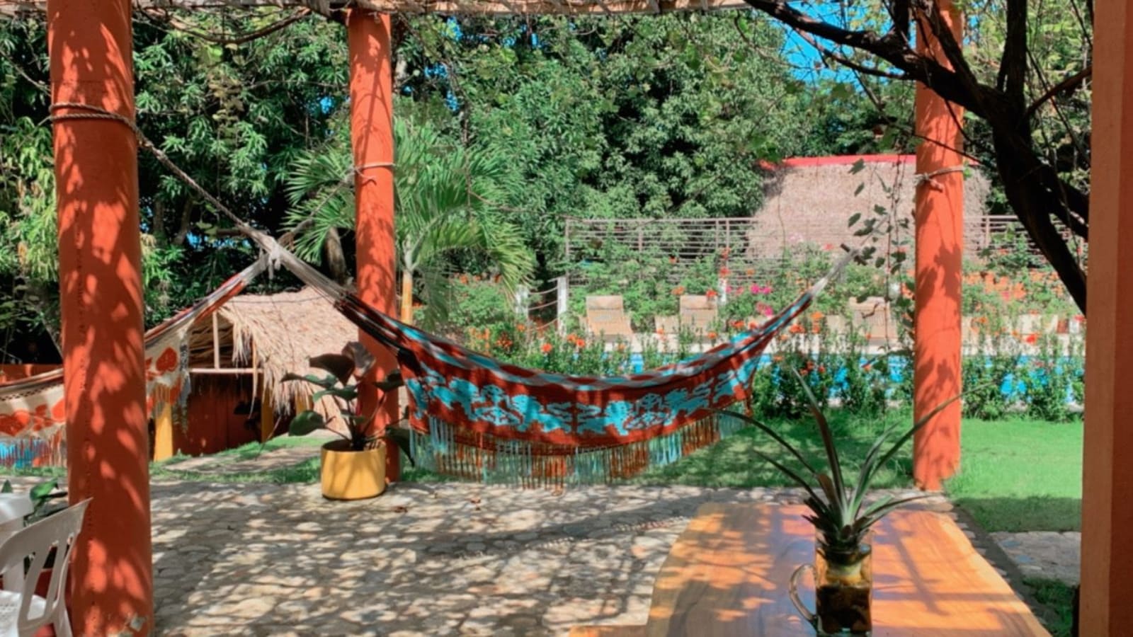 Color Hostel, Palomino