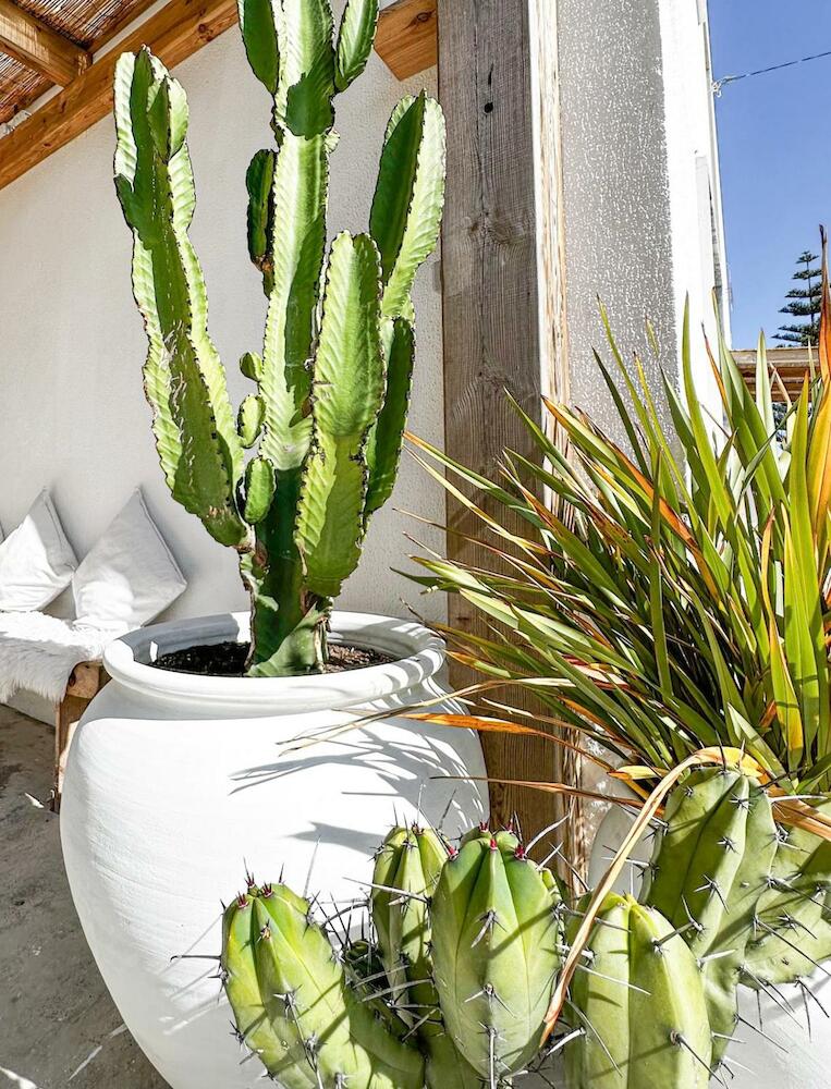 Ocean House - Ribeira D'ilhas, Ericeira