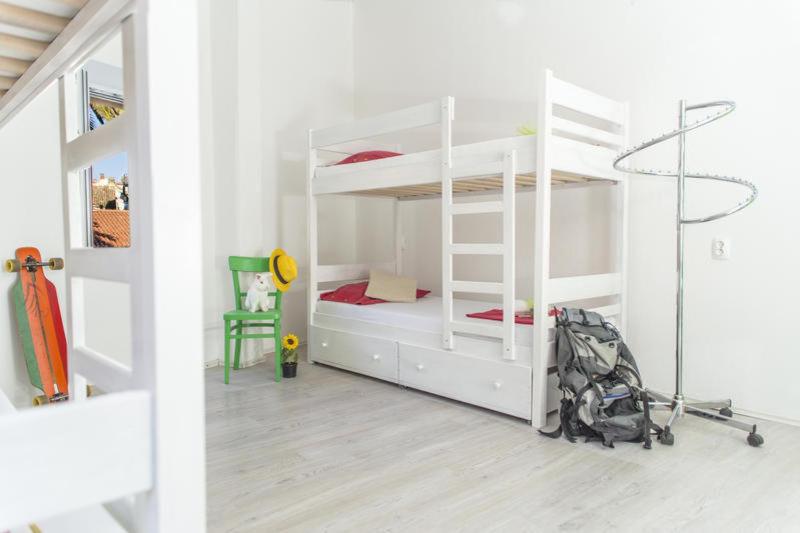 The White Rabbit Hostel