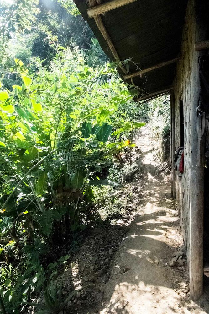 Casinha Da Floresta