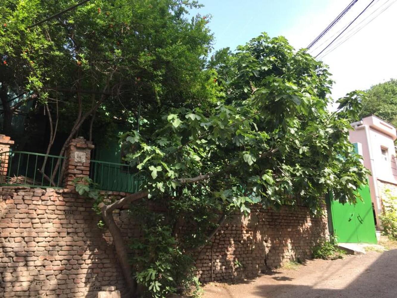 Green House Hostel