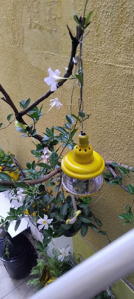 Hostel Aprisco, São Paulo