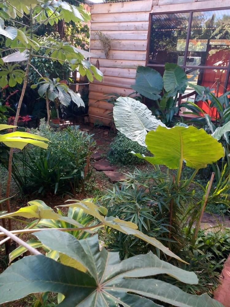 Nomads Hostel Iguazu, Puerto Iguazú