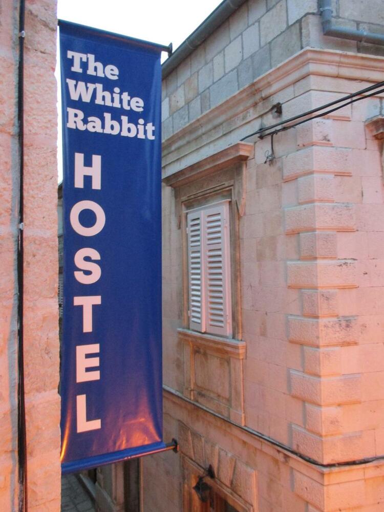 The White Rabbit Hostel