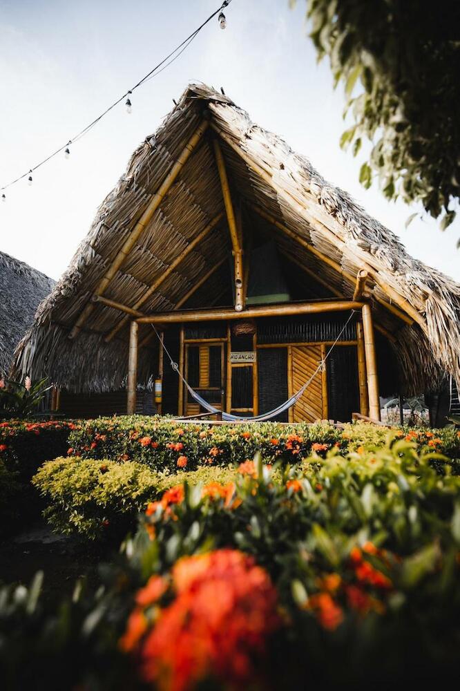 Tiki Hut Hostel, Palomino