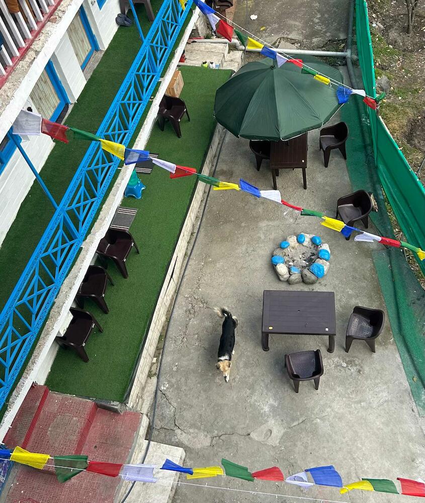 Tiny Spot Hostel, Manali