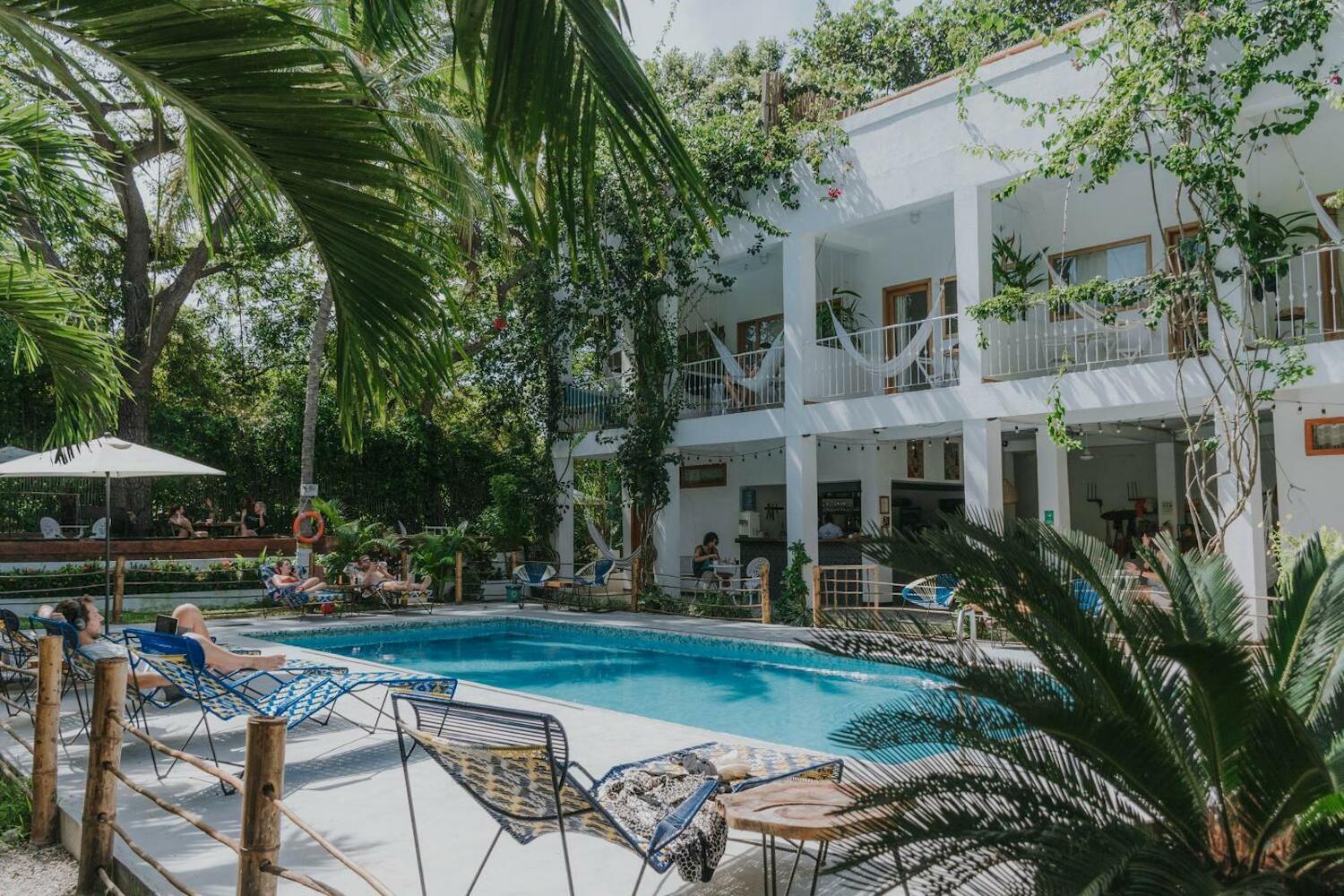 Casa del Pavo Real Boutique Hostel, Palomino