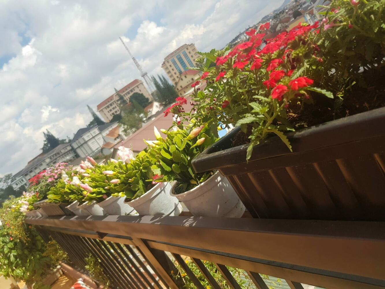 Ngoc Tran Hostel, Dalat
